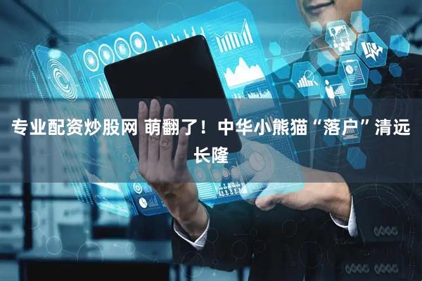 专业配资炒股网 萌翻了！中华小熊猫“落户”清远长隆