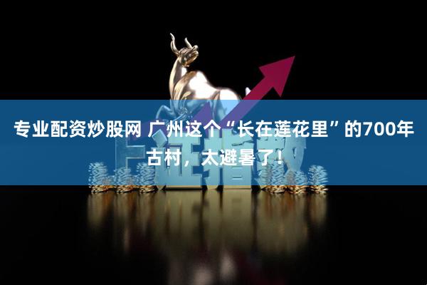 专业配资炒股网 广州这个“长在莲花里”的700年古村，太避暑了！