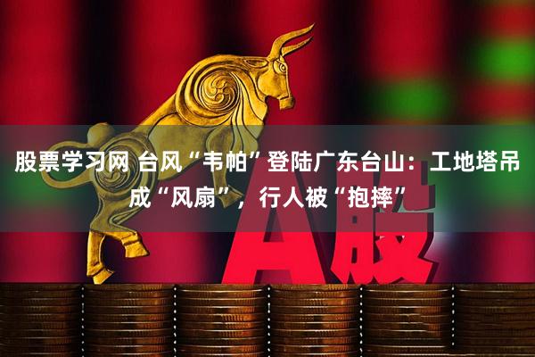 股票学习网 台风“韦帕”登陆广东台山：工地塔吊成“风扇”，行人被“抱摔”